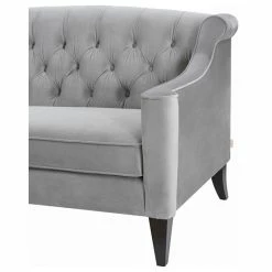 Jennifer Taylor Home Ken 74" Upholstered Button-Tufted Sofa, Opal Gray Velvet 18 Jennifer Taylor Home Ken 74" Upholstered Button-Tufted Sofa, Opal Gray Velvet -GDF sofa Shop 1dd1cf7a0d88eed2 6647 w800 h800 b1 p0
