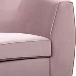 Meridian Furniture Julian Velvet Sofa, Pink, Gold Base -GDF sofa Shop 48e193c502740db3 3111 w800 h800 b0 p0