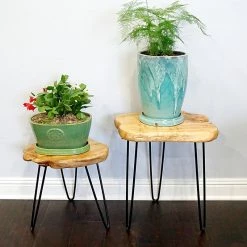 Welland Industries LLC Cedar Wood Stump Small End Table -GDF sofa Shop 5731efa50c0feed0 9661 w800 h800 b0 p0