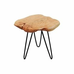 Welland Industries LLC Cedar Wood Stump Small End Table