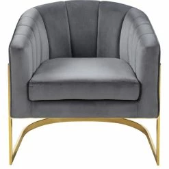 Meridian Furniture Carter Velvet Accent Chair, Gray -GDF sofa Shop 77511ed302740bfe 2808 w800 h800 b1 p0