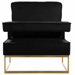 Meridian Furniture Noah Velvet Accent Chair, Black, Gold Base -GDF sofa Shop f8115edc02740be4 2681 w800 h800 b1 p0